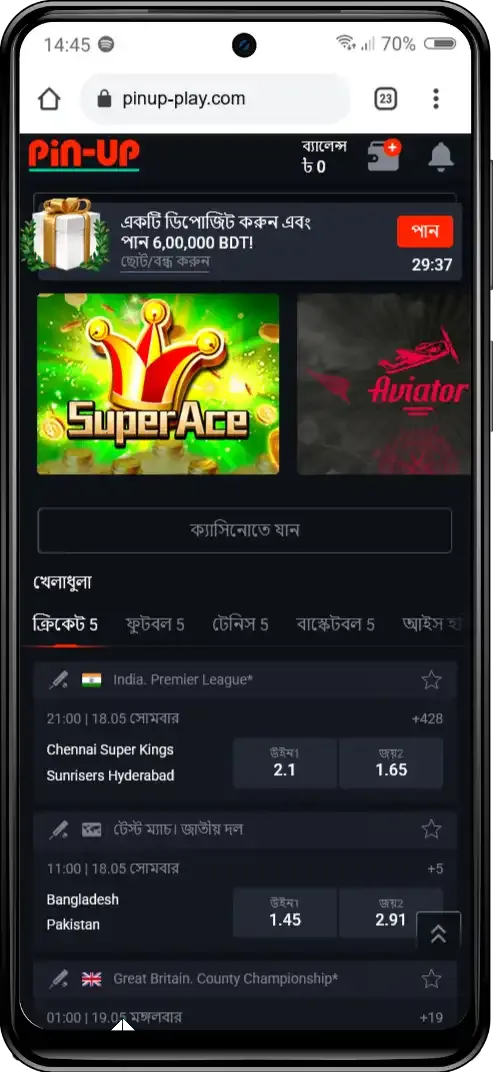 Pin Up BD Android App 1